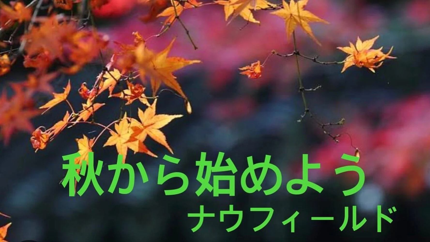 ブログ