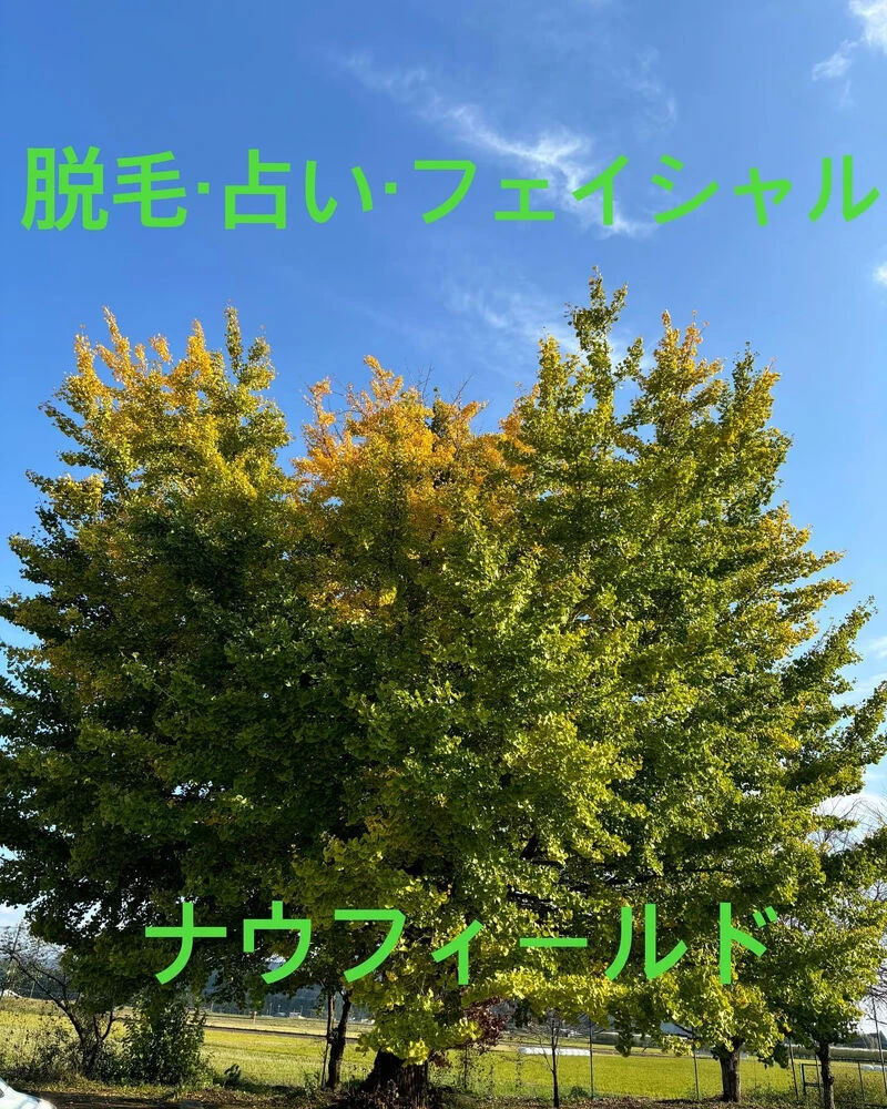 ブログ
