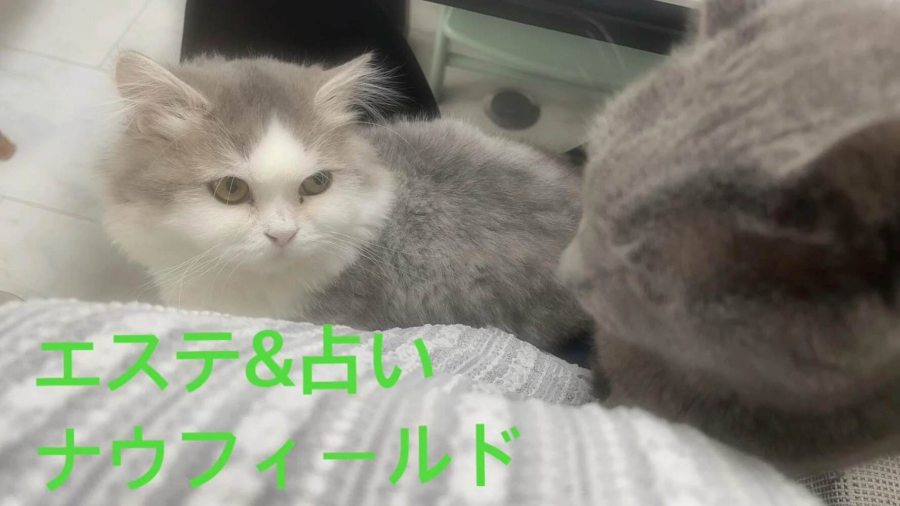 ブログ