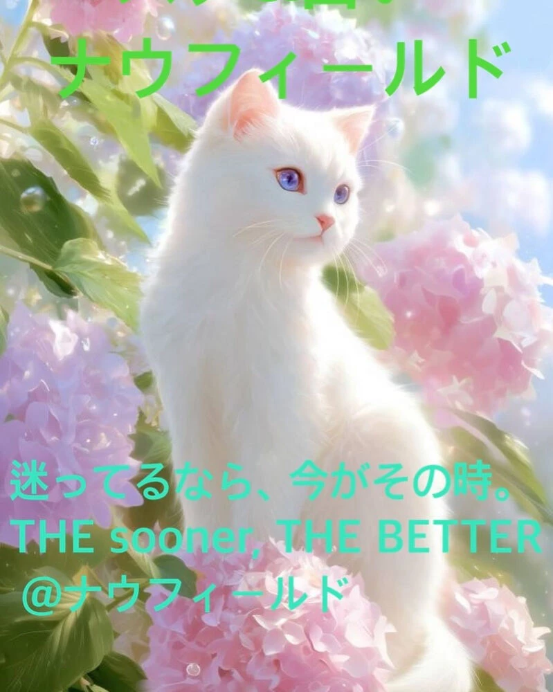 ブログ
