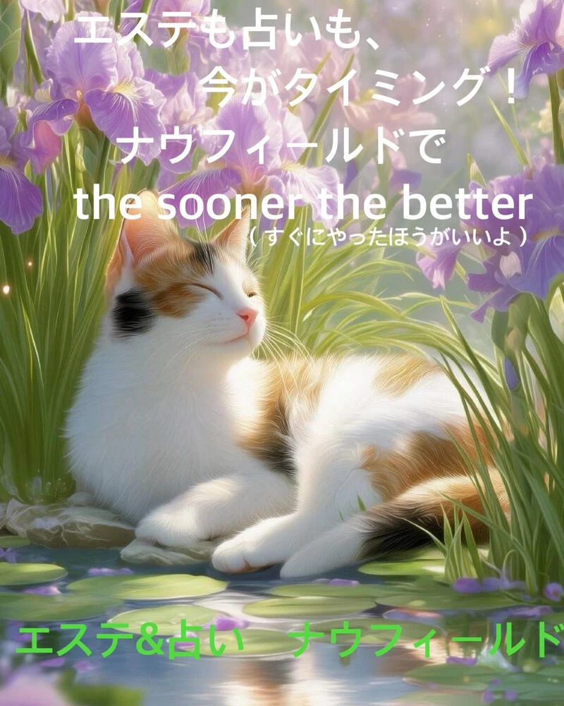 ブログ
