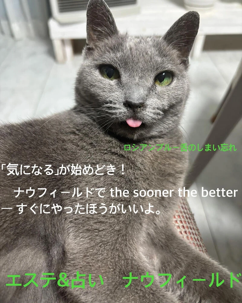 ブログ