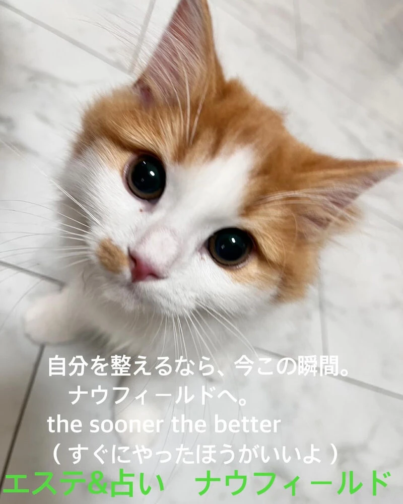 ブログ
