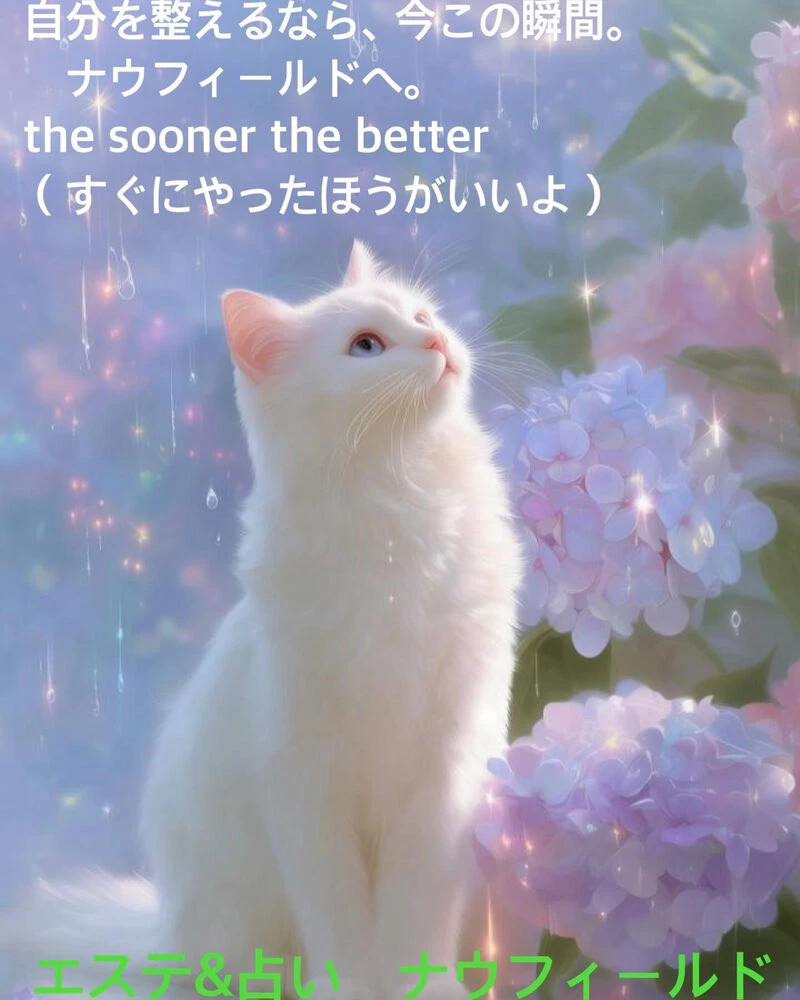 ブログ