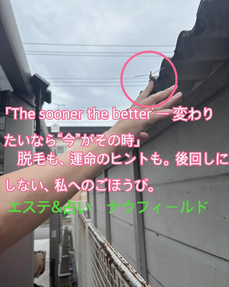 ブログ