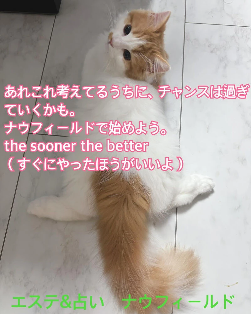 ブログ