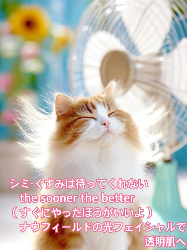 ブログ