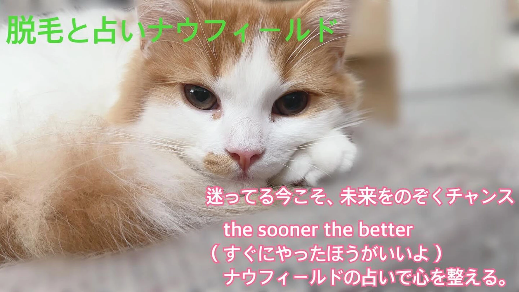 ブログ