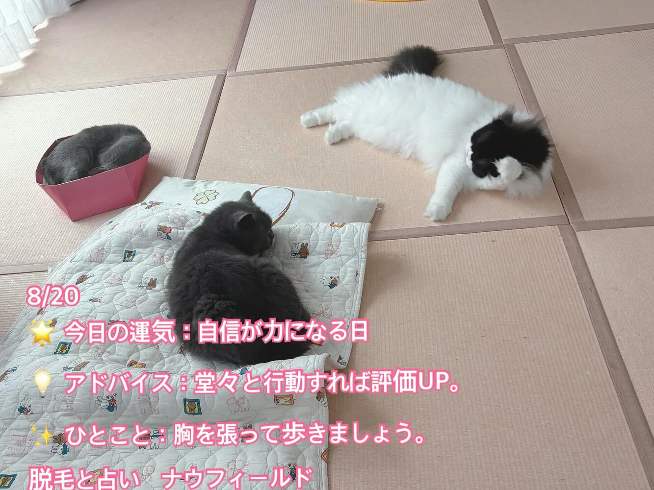 ブログ