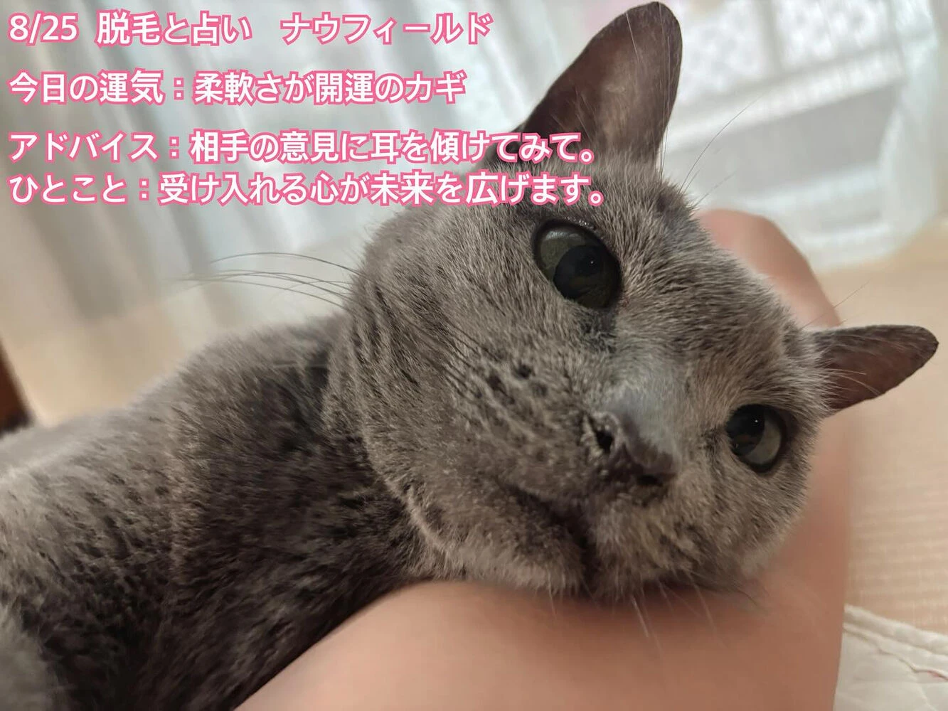 ブログ