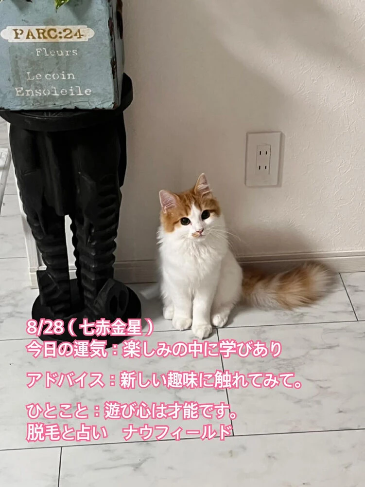 ブログ