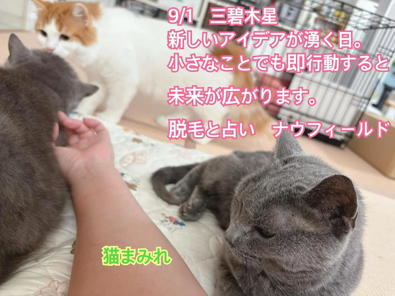 ブログ