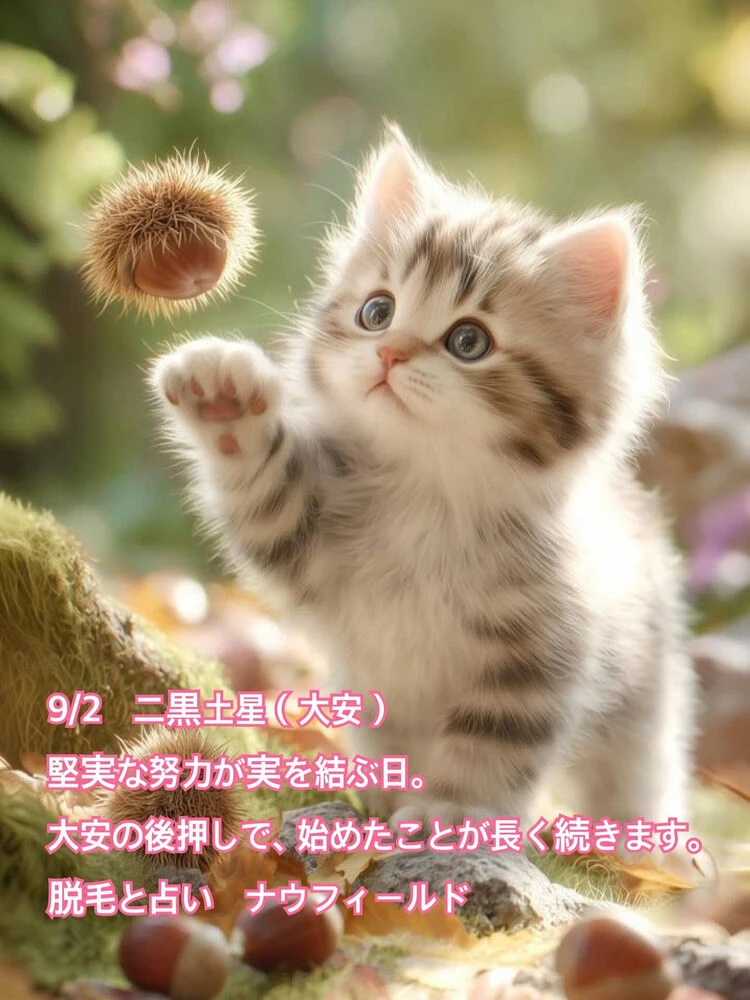 ブログ