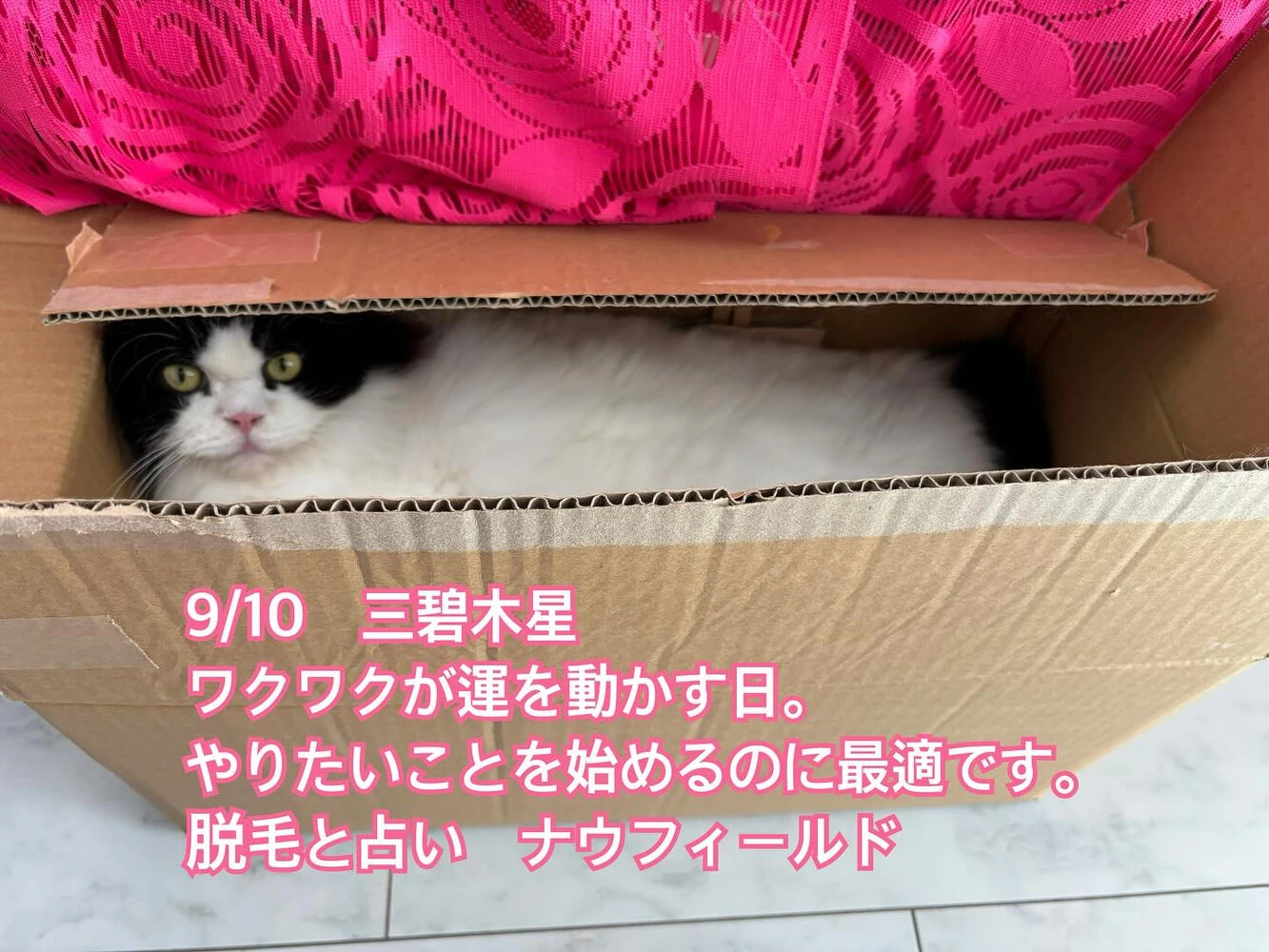 ブログ