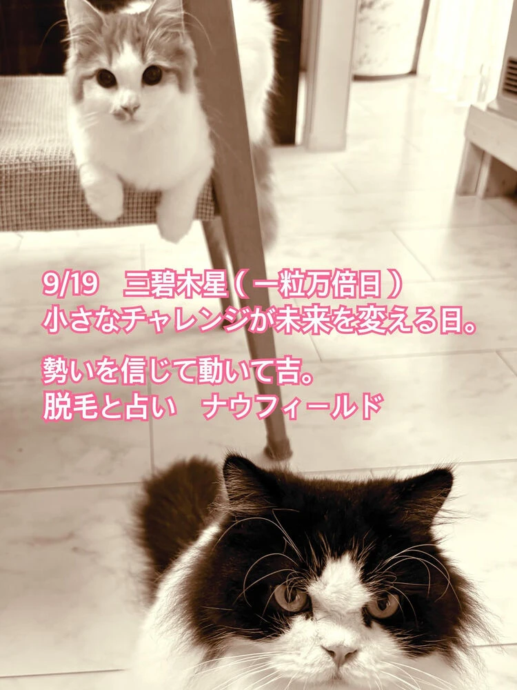 ブログ